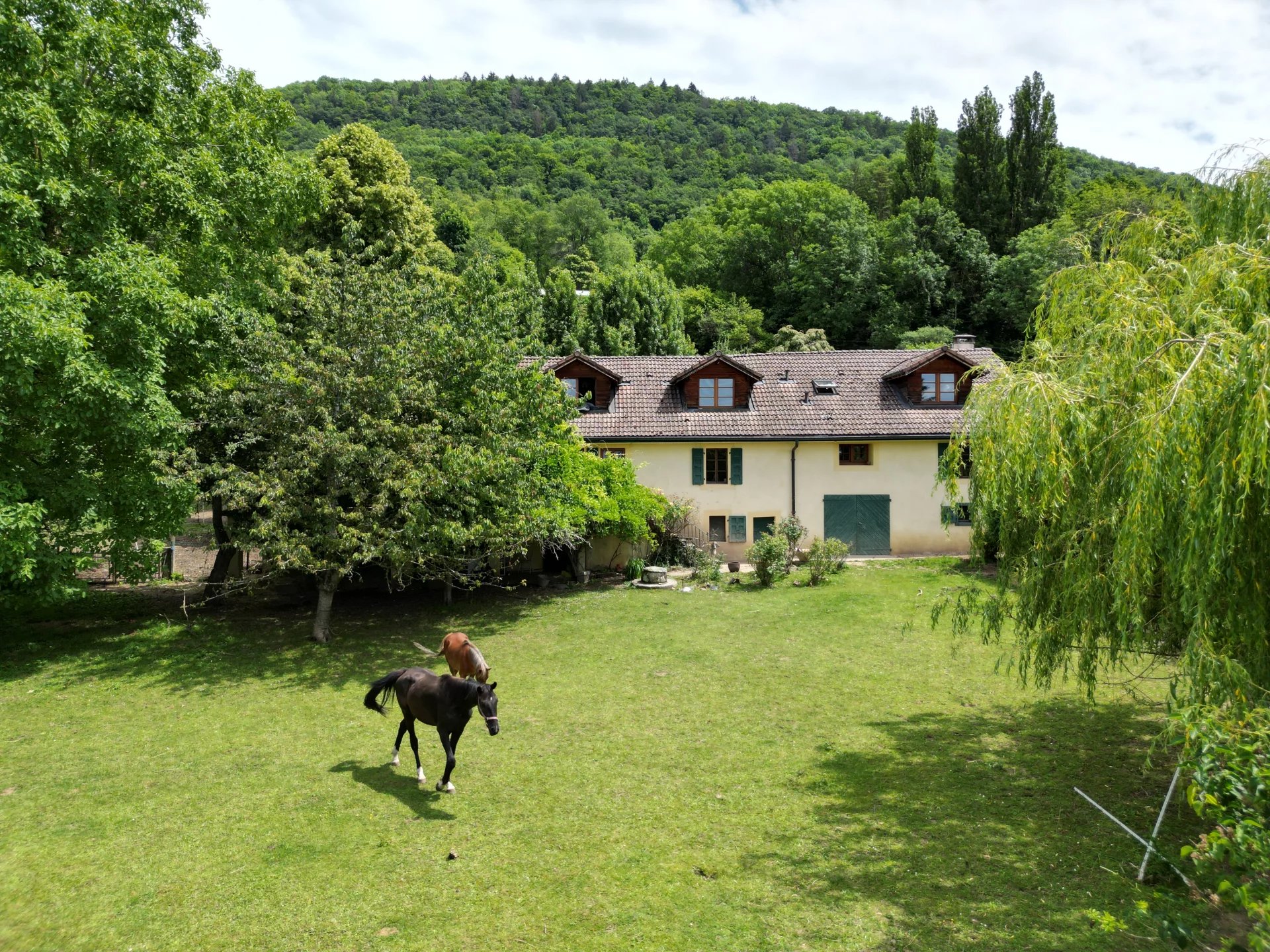 Einfamilienhaus zum Kauf 1.380.000 € 7 Zimmer 275 m²<br/>Wohnfläche 3.188 m²<br/>Grundstück ST CERGUES 74140