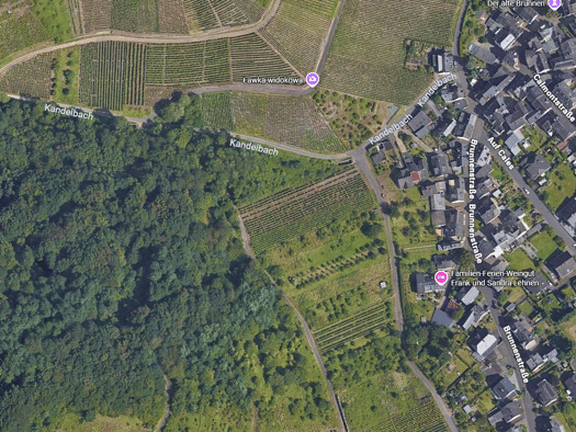 Land-/Forstwirtschaft zum Kauf provisionsfrei 3.900 € 2.640 m² Grundstück Bremm 56814
