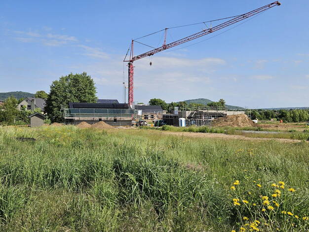 Grundstück zum Kauf provisionsfrei 124.000 € 496 m² Grundstück Hofgeismar Hofgeismar 34369