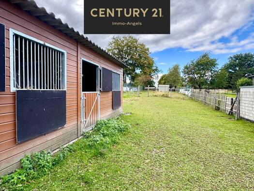 Haus zum Kauf 370.000 € 6,5 Zimmer 146 m² 2.387 m² Grundstück Scherpenseel Übach-Palenberg 52531