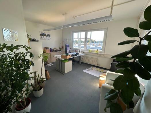 Bürofläche zur Miete 10 Zimmer 291 m² Bürofläche Schutterwald 77746