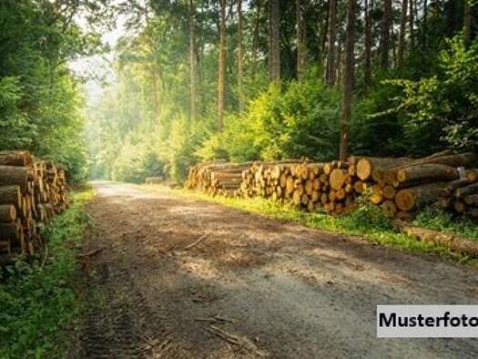 Land-/Forstwirtschaft zum Kauf 444.000 € 154.282 m² Grundstück St.Gerogen am Walde 4372