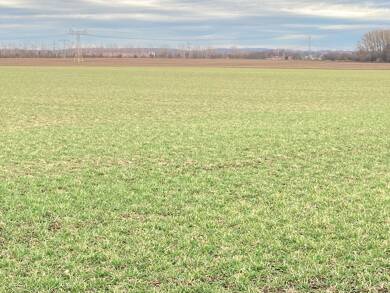 Land-/Forstwirtschaft zum Kauf 985.647 m² Grundstück Hagenow Hagenow 19230