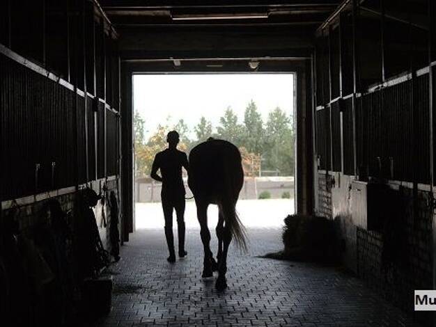 Reiterhof zum Kauf 637.800 € 28.379 m² Grundstück Menzelen-West Alpen 46519