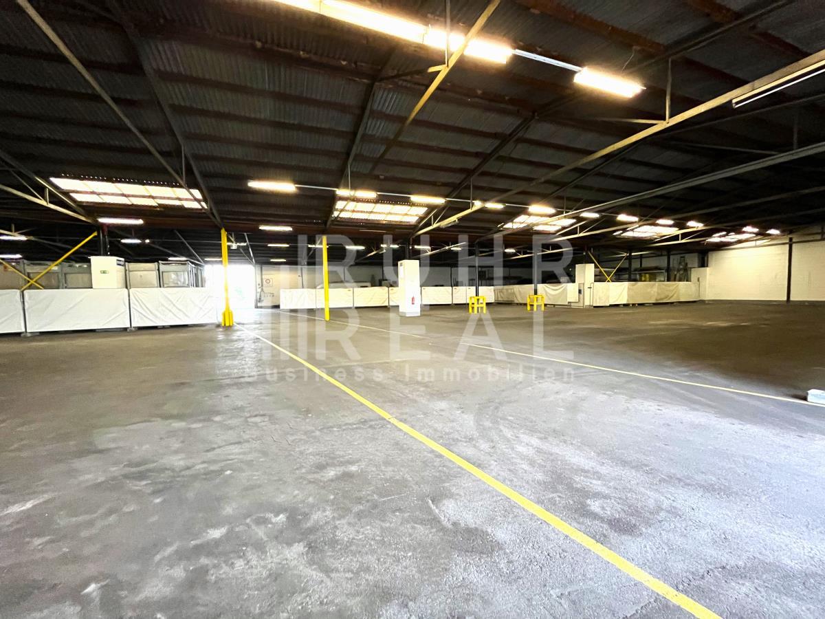 Lagerhalle zur Miete 4.000 m²<br/>Lagerfläche ab 2.500 m²<br/>Teilbarkeit Wevelinghoven Grevenbroich 41516