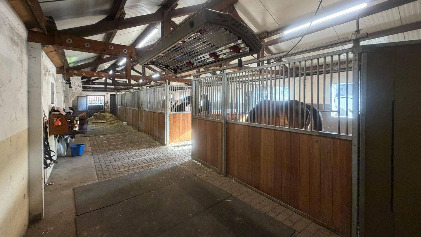Lagerhalle zum Kauf - Ansicht 5
