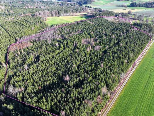 Gewerbegrundstück zum Kauf als Kapitalanlage geeignet 429.000 € 123.084 m² Grundstück Olgishofen Kirchhaslach 87755