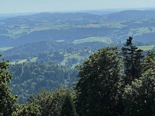 Studio zur Miete 285 € 1,5 Zimmer 36 m² 50. Geschoss Geyersberg 39  M 1 Geyersberg Freyung 94078