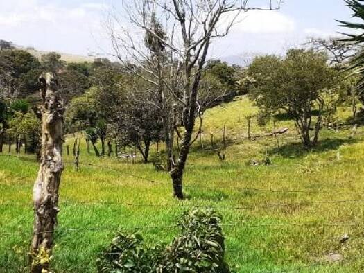 Bauernhaus zum Kauf provisionsfrei als Kapitalanlage geeignet 575.000 $ 4 Zimmer 80 m² 11.000 m² Grundstück Tilaran