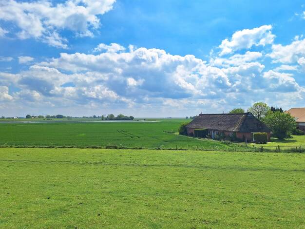 Mehrfamilienhaus zum Kauf 175.000 € 12 Zimmer 197 m² 2.565 m² Grundstück Neufelderkoog 25724