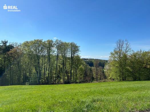 Grundstück zum Kauf 385.000 € 8.799 m² Grundstück Graz 8010