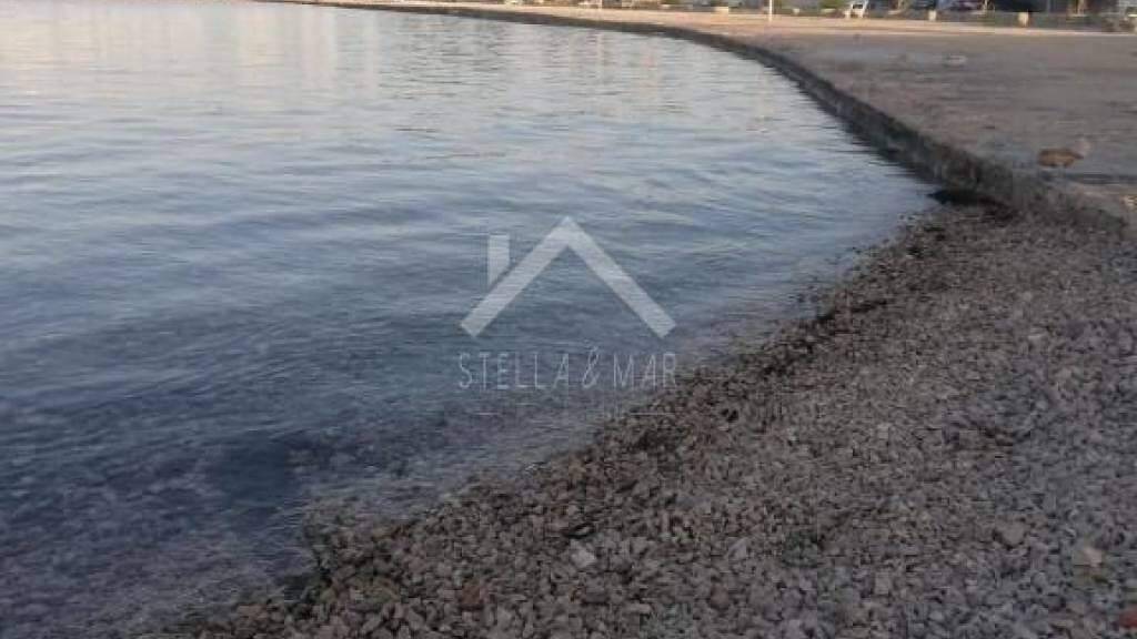 Land-/Forstwirtschaft zum Kauf 160.000 € Vir