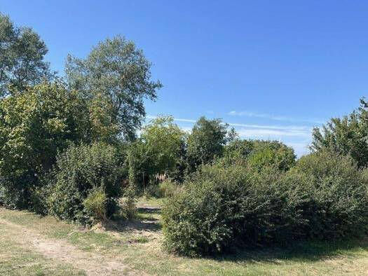 Grundstück zum Kauf provisionsfrei 49.900 € 327 m² Grundstück Baugenehmigung vorhanden Teßmannsdorf Am Salzhaff 18233