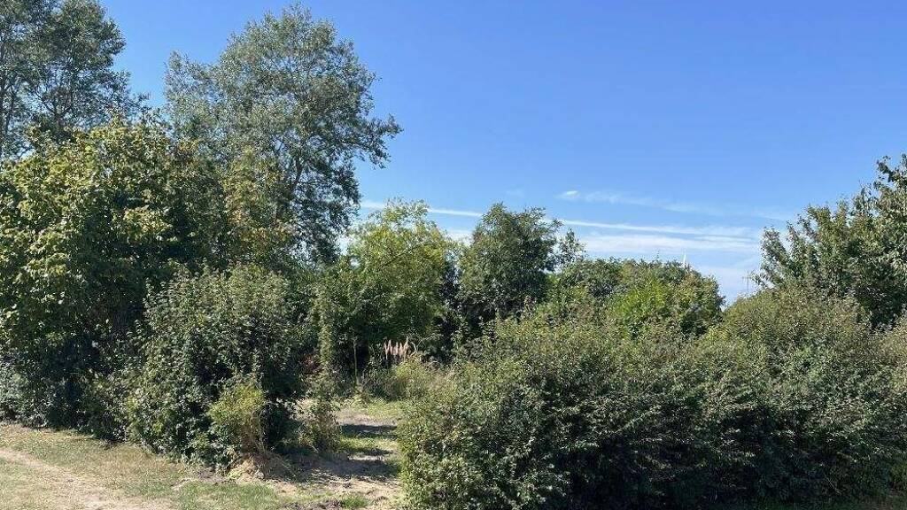 Grundstück zum Kauf provisionsfrei 49.900 € 327 m² Grundstück Baugenehmigung vorhanden Teßmannsdorf Am Salzhaff 18233