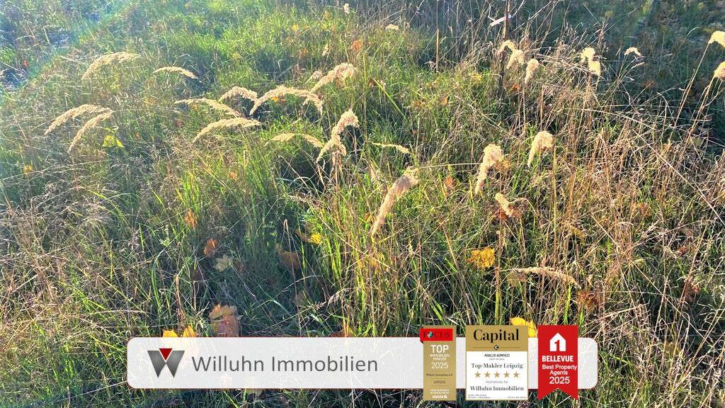 Grundstück zum Kauf 136.800 € 608 m² Grundstück Gallen Jesewitz 04838