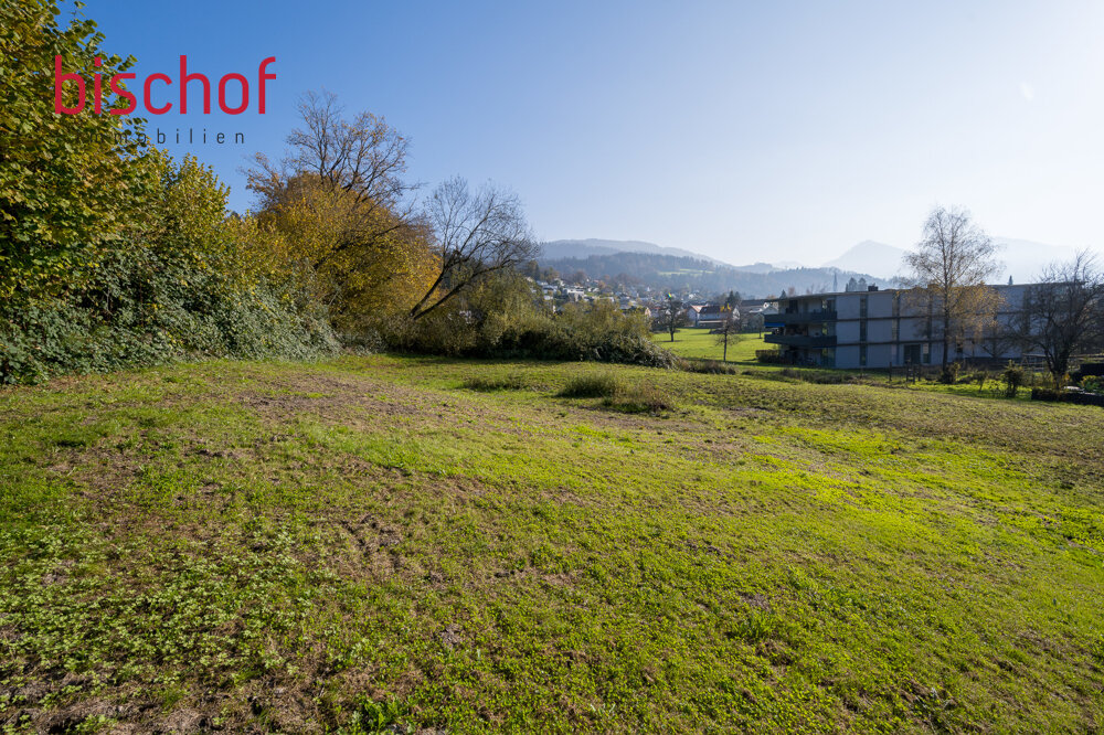 Grundstück zum Kauf 1.254 m²<br/>Grundstück Schwarzach 6858