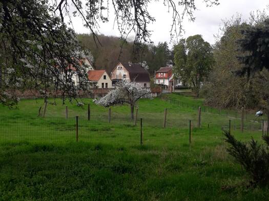 Bauernhaus zum Kauf 125.000 € 8 Zimmer 260 m² 4.900 m² Grundstück frei ab sofort Gieckau Wethau 06618