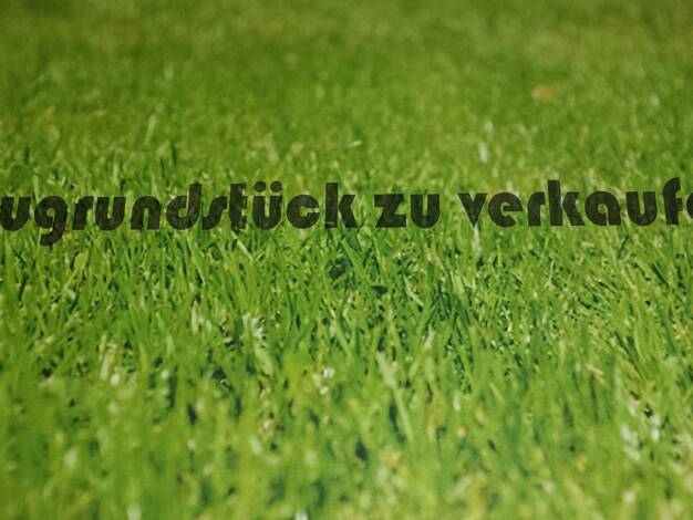 Grundstück zum Kauf provisionsfrei 1.499.000 € 3.704 m² Grundstück frei ab 01.08.2025 Bad Saarow-Pieskow Bad Saarow 15526