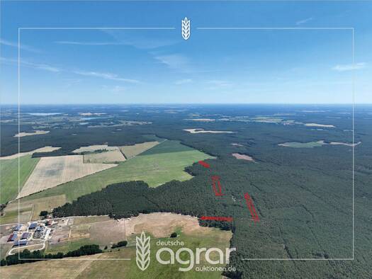 Land-/Forstwirtschaft zum Kauf 9.900 € 15.600 m² Grundstück Wittbrietzen Beelitz 14547