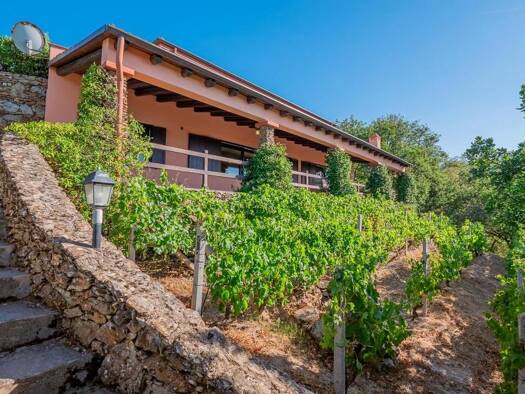 Haus zum Kauf 329.000 € 5 Zimmer 290 m² 10.000 m² Grundstück Otieri/Ozieri 07014