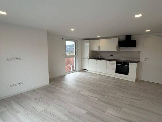 Wohnung zur Miete 850 € 2 Zimmer 53 m² frei ab 01.12.2025 Obrigheim 74847