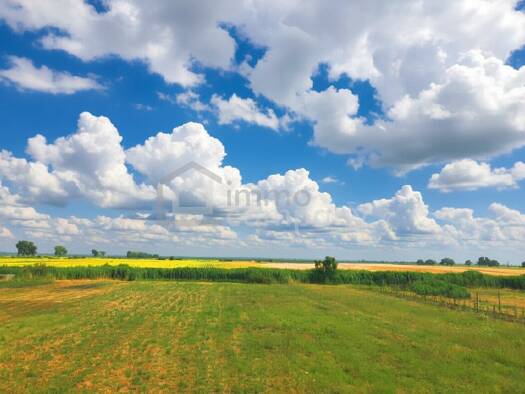 Land-/Forstwirtschaft zum Kauf 140.000 € 15.559,5 m² Grundstück Pama 2422