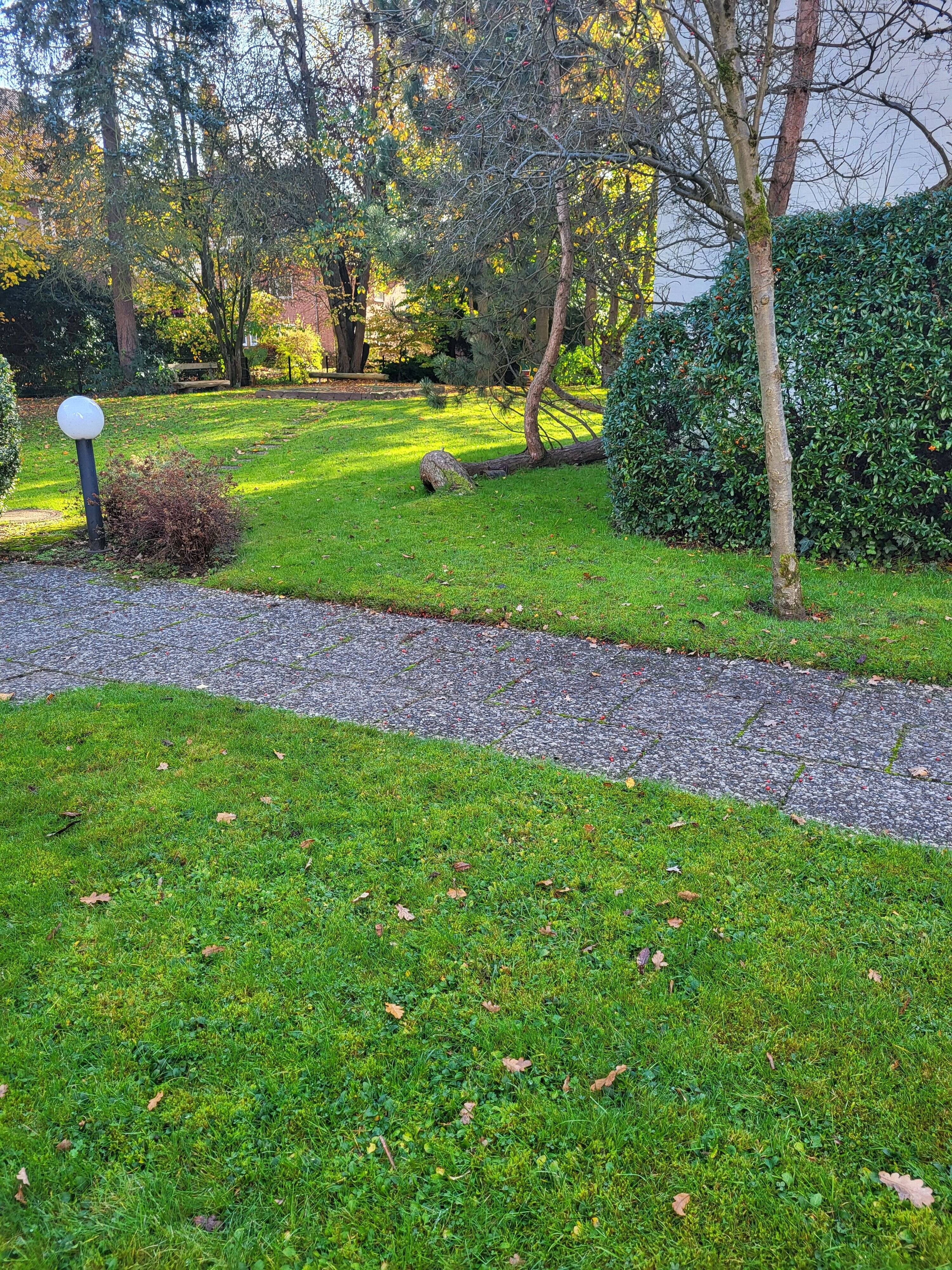 Property thumbnail 3