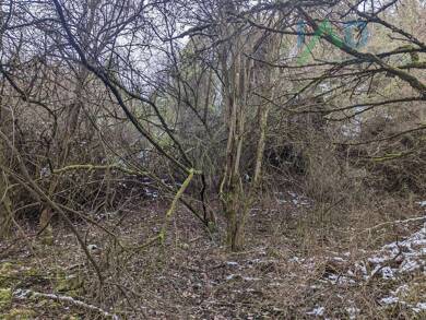 Grundstück zum Kauf 120.000 € 926 m² Grundstück Sindolsheim Sindolsheim 74749