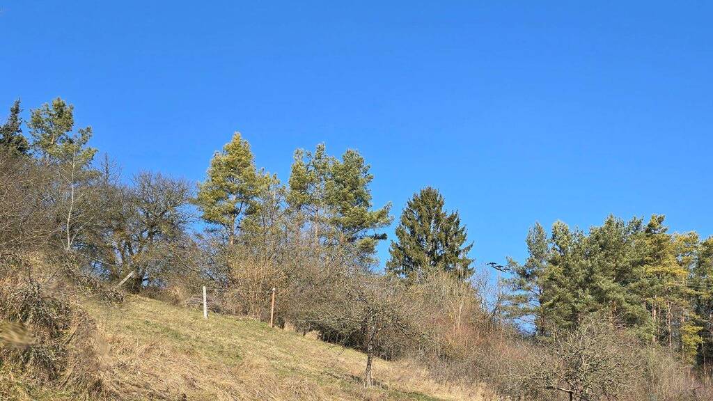 Grundstück zum Kauf 1.220 m² Grundstück Kleinkirchenbirkig 3 Kleinkirchenbirkig Pottenstein 91278