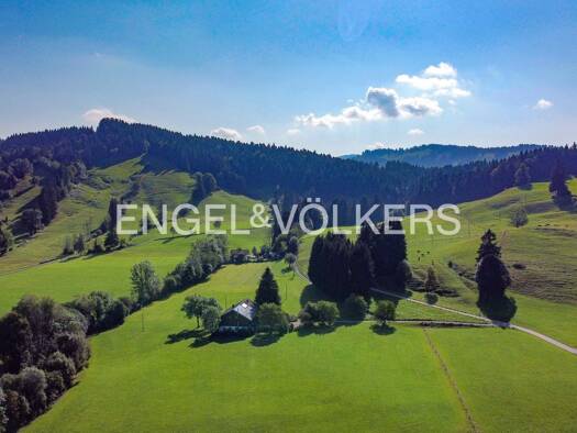 Einfamilienhaus zum Kauf 1.570.000 € 12 Zimmer 315 m² 77.646 m² Grundstück frei ab sofort Stiefenhofen 88167