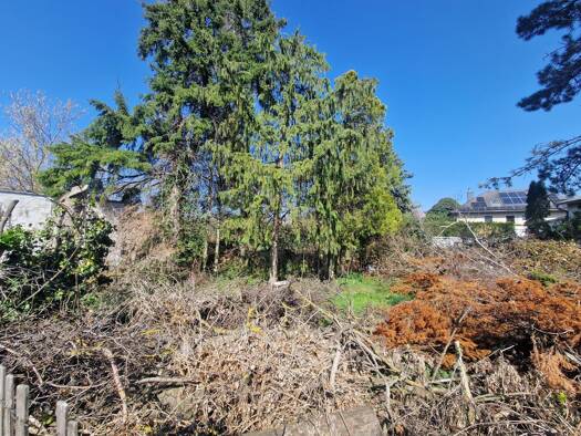 Grundstück zum Kauf 233.970 € 709 m² Grundstück Königstetten 3433