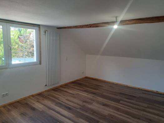 Wohnung zur Miete 700 € 2,5 Zimmer 60 m² Geschoss 2/3 frei ab 15.10.2026 Stühlingen Stühlingen 79780