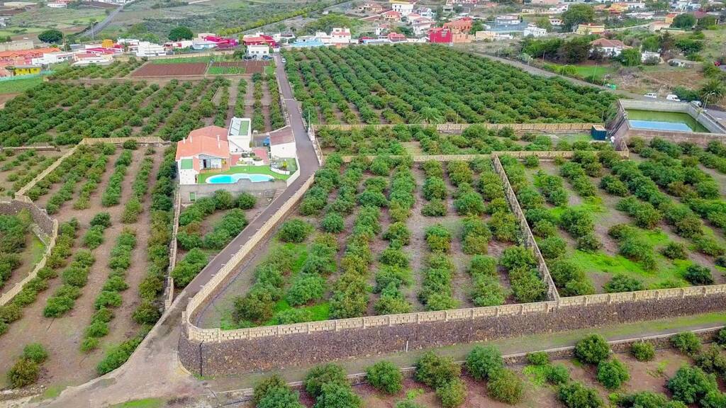 Landhaus zum Kauf provisionsfrei 4.000.000 € 5 Zimmer 87 m² 77.300 m² Grundstück Tegueste 38280