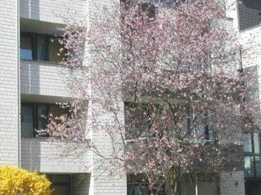 Studio zum Kauf als Kapitalanlage geeignet 74.000 € 1 Zimmer 27 m² Westpreußenstraße Tannenbusch Bonn 53119