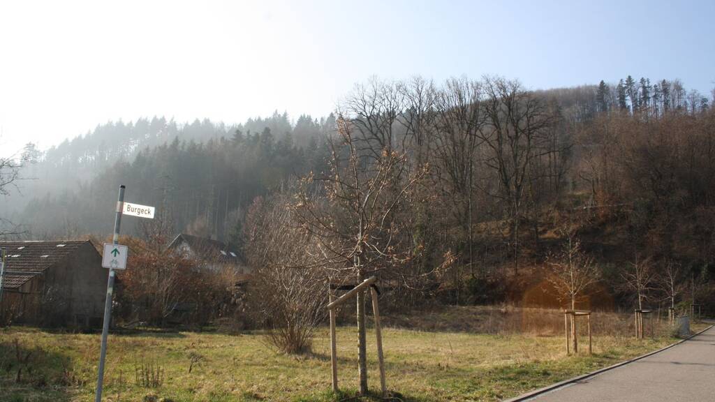 Grundstück zum Kauf 228.930 € 587 m² Grundstück Hausen im Wiesental 79688