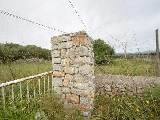 Grundstück zum Kauf 475.000 € 15.000 m² Grundstück frei ab sofort Arta 07570