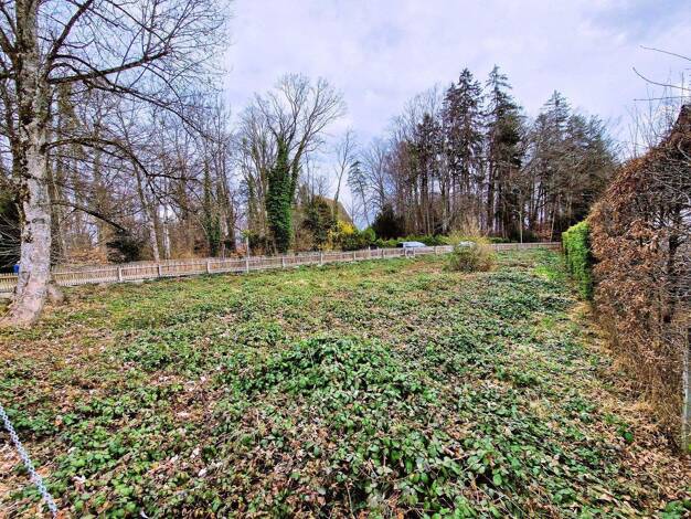 Grundstück zum Kauf provisionsfrei 734.000 € 746 m² Grundstück Seeshaupter Straße 7 Bernried 82347