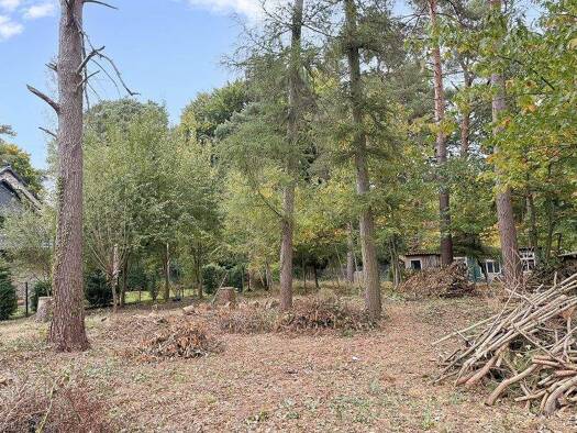 Grundstück zum Kauf 280.000 € 1.000 m² Grundstück Bissendorf Wedemark 30900