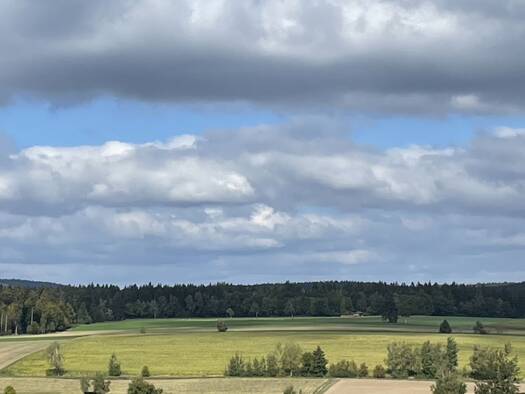 Land-/Forstwirtschaft zum Kauf 1.019.545 € 156.853 m² Grundstück Mähring Mähring 95695