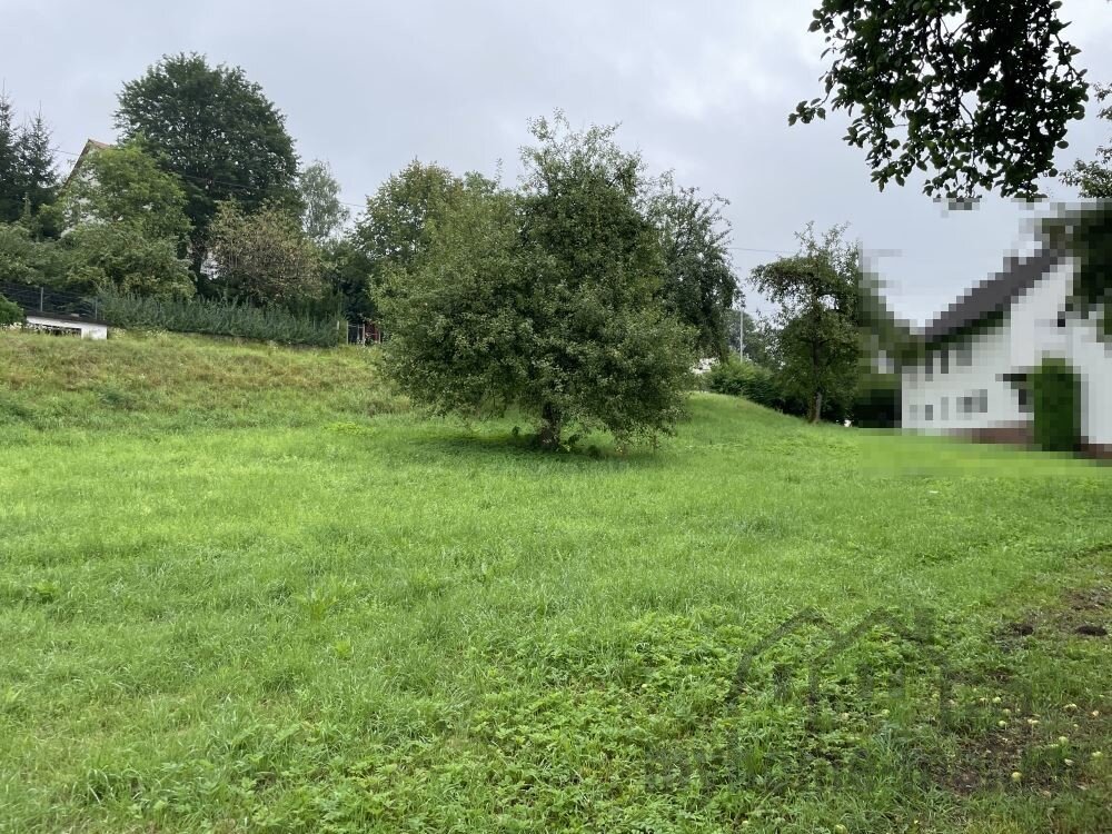 Grundstück zum Kauf 157.950 € 810 m²<br/>Grundstück Weigendorf Weigendorf 91249