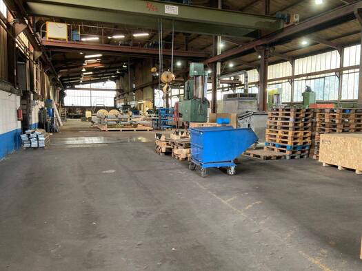 Lagerhalle zur Miete 5,40 € 3.800 m² Lagerfläche teilbar ab 250 m² Hickelweg 21 Aachen Aachen 52068