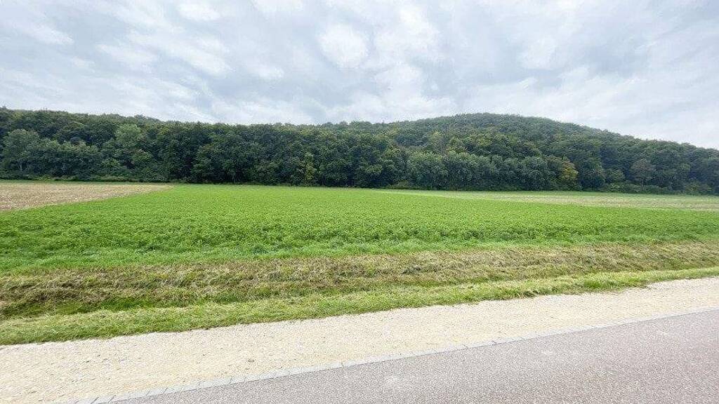 Landwirtschaftliche Fläche zum Kauf 120.000 € 7.269 m² Grundstück Wettelsheim Treuchtlingen 91757