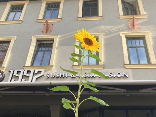 Haus zum Kauf 3.290.000 € 26 Zimmer 933 m² 325 m² Grundstück West Jena 07743