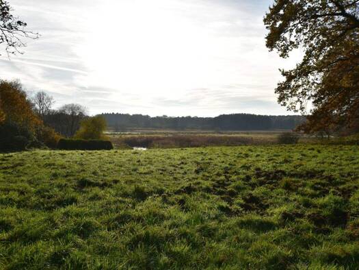 Grundstück zum Kauf 795.000 € 7.050 m² Grundstück frei ab 01.01.2026 Trittau 22946