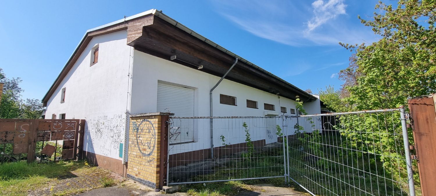 Lagerhalle zum Kauf 1.500 € 918 m²<br/>Lagerfläche Bad Düben Bad Düben 04849