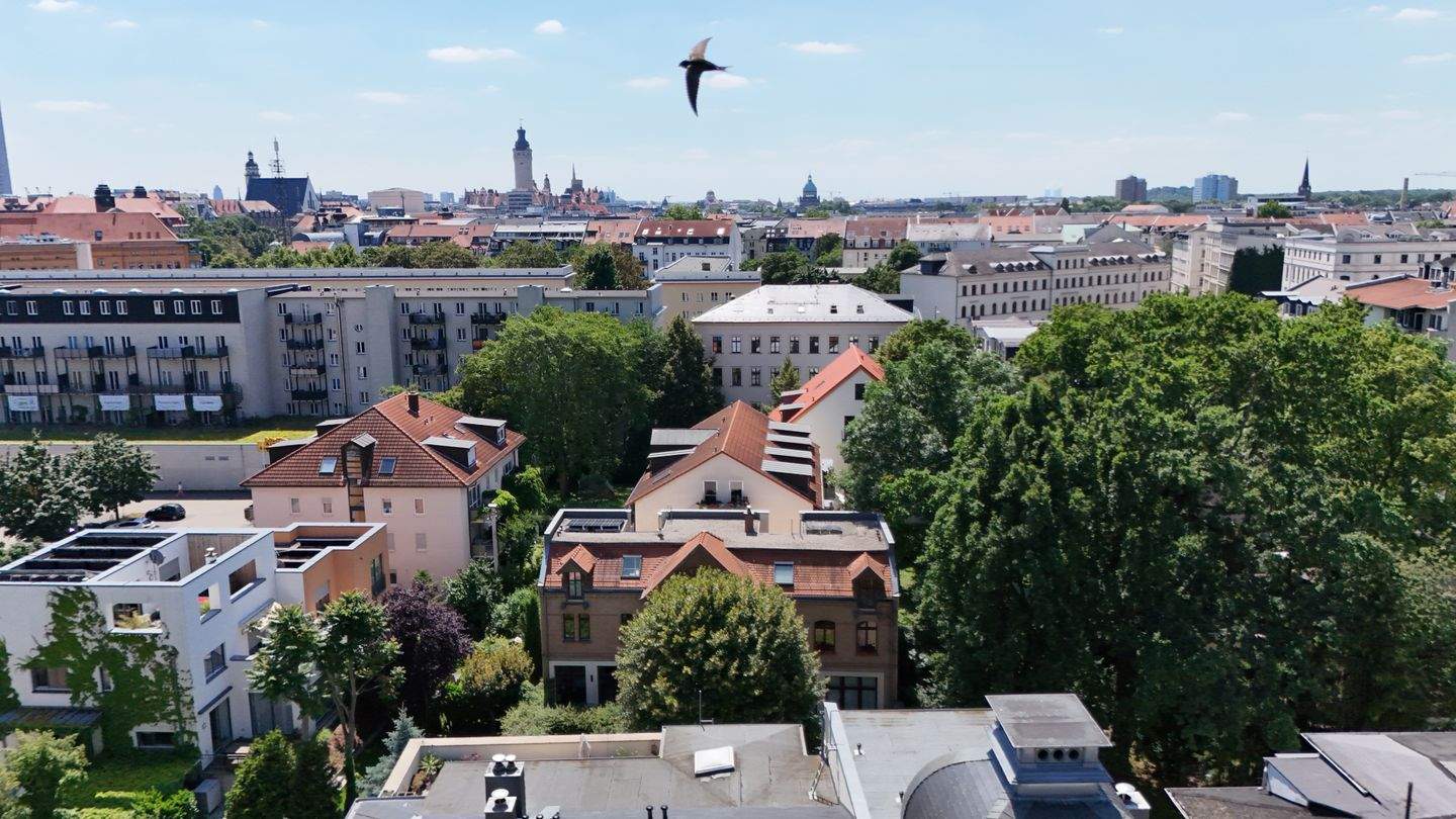 Property thumbnail 13