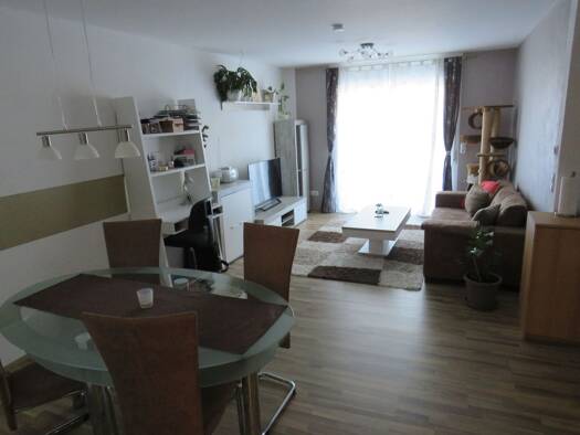 Terrassenwohnung zur Miete 650 € 2 Zimmer 55 m² Geschoss EG/1 frei ab 01.01.2026 Mühlbergstraße 1 Röttenbach 91341