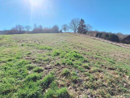 Grundstück zum Kauf 89.000 € 737 m² Grundstück Tiefenthal 55546