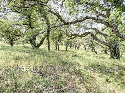 Grundstück zum Kauf 600.000 € 6.350 m² Grundstück Ouest Grimaud 83310