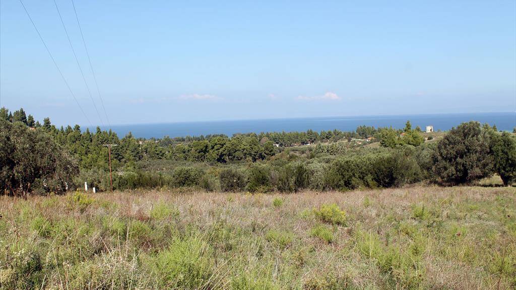 Land-/Forstwirtschaft zum Kauf 200.000 € 22.500 m² Grundstück Chalkidiki